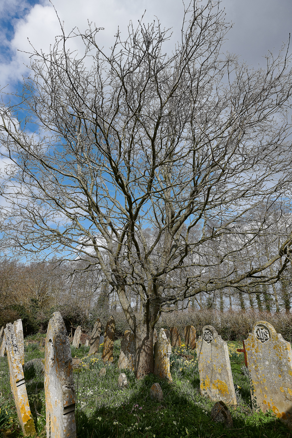 AldboroughChurchGravestones250321-1