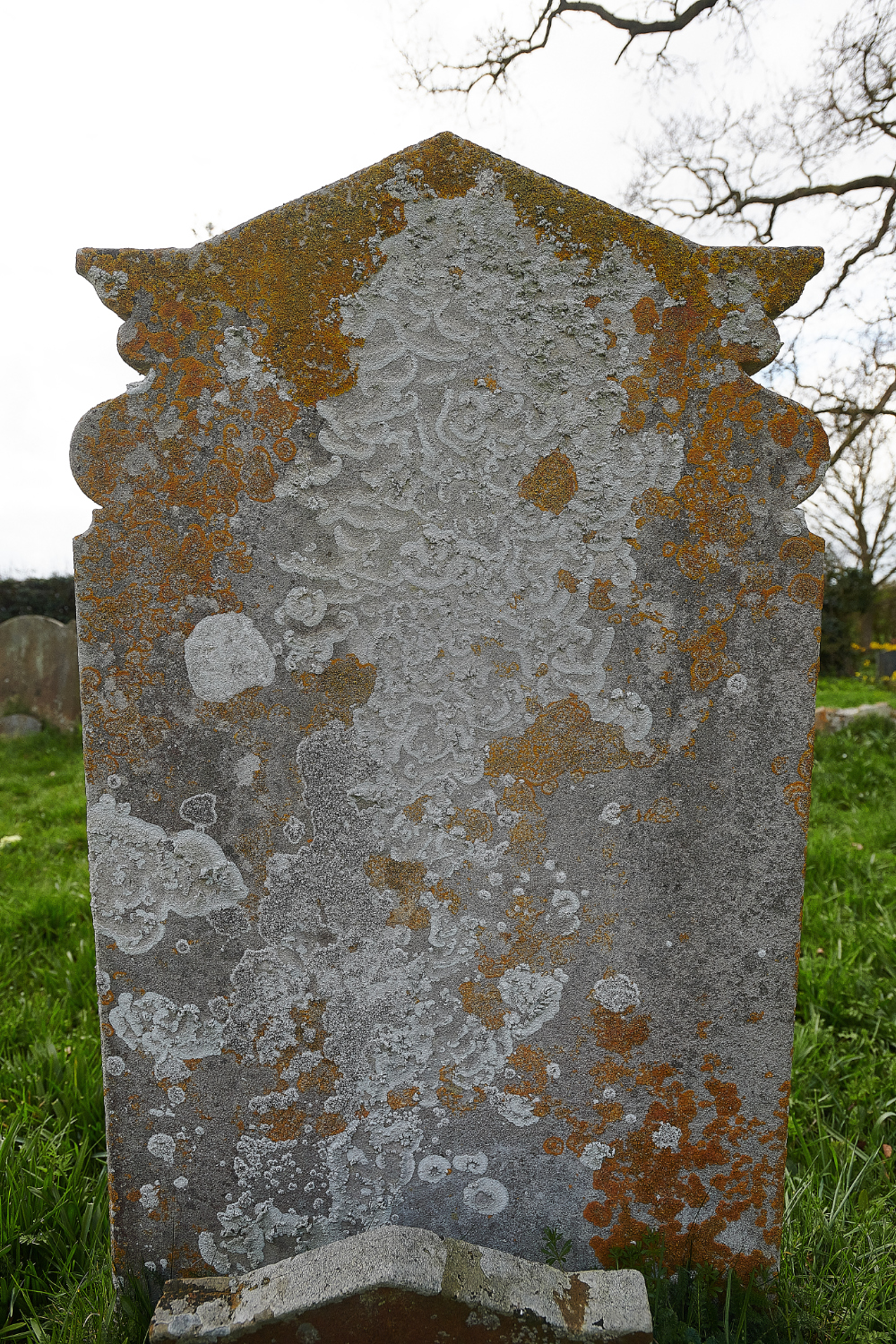 AldboroughChurchLichen250321-1