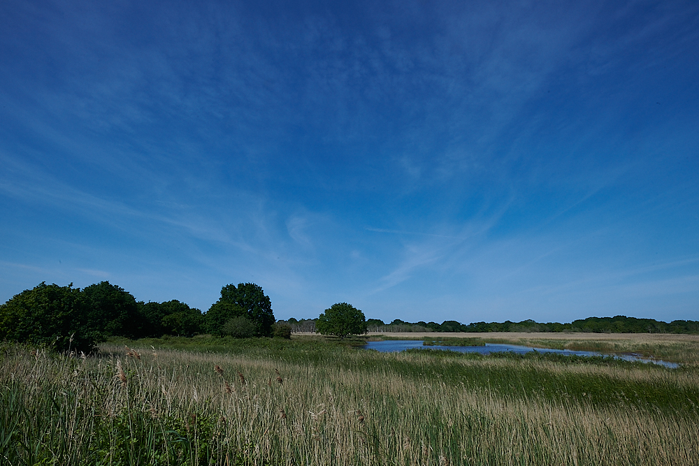 Hickling150621-2