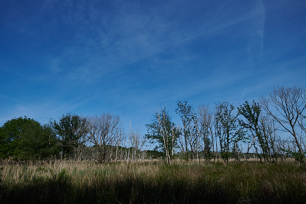 Hickling150621-3