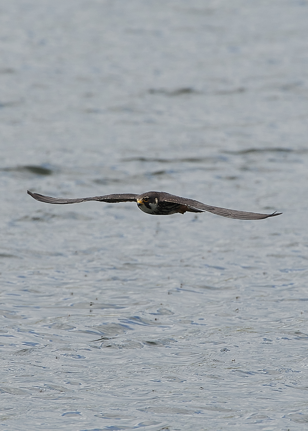 LackfordLakesHobby210521-1