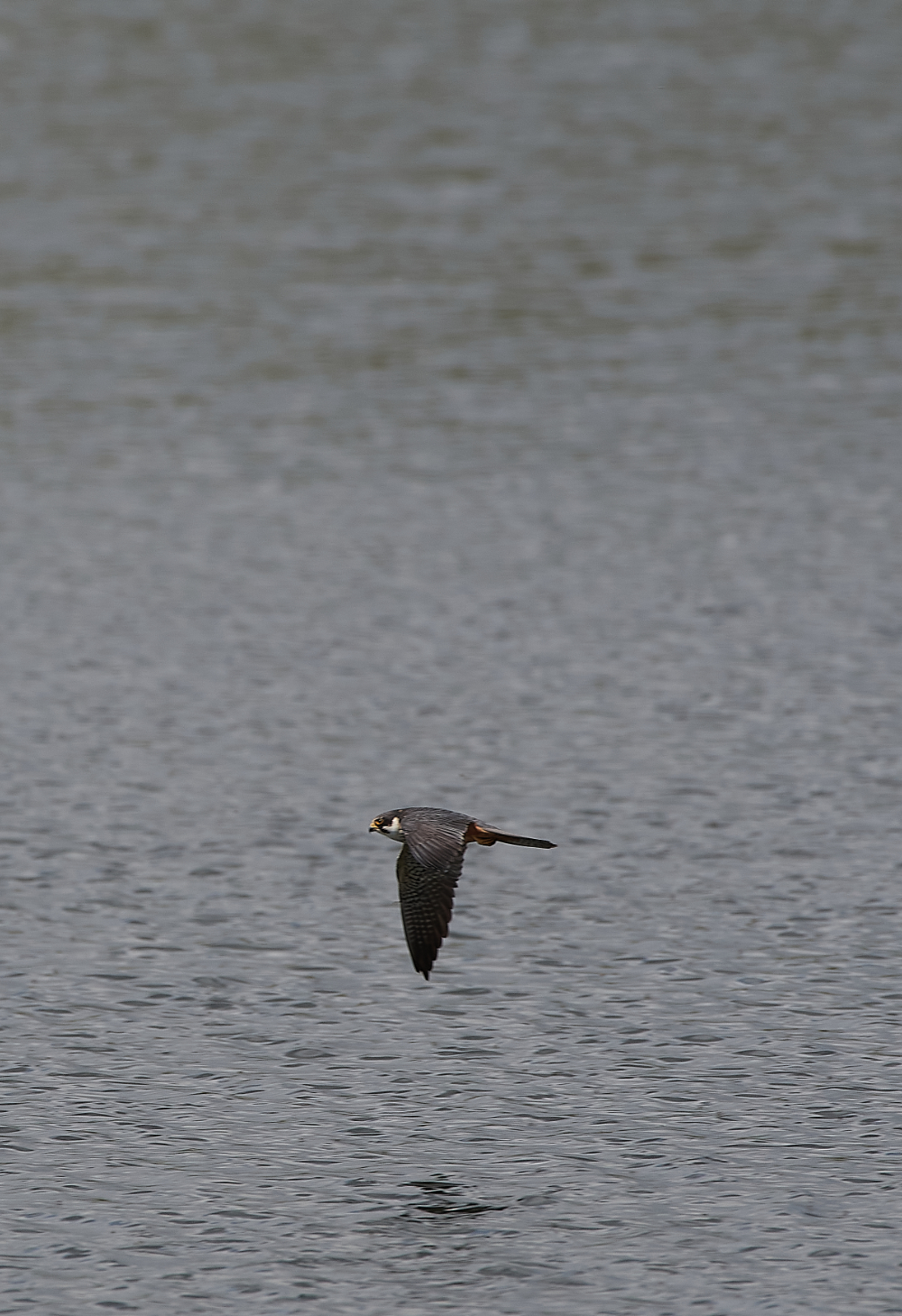 LackfordLakesHobby210521-5