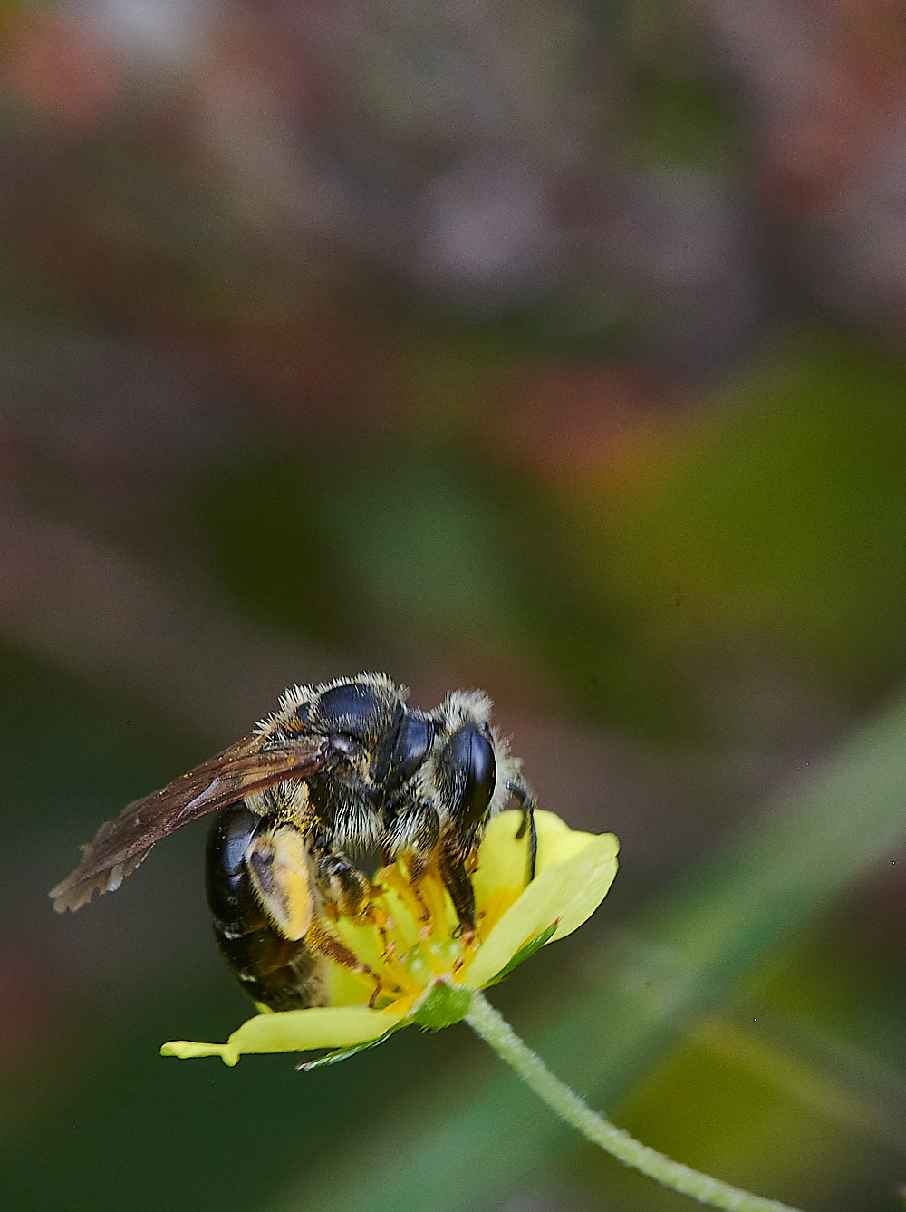 HoughenPlantationTMB150821-11