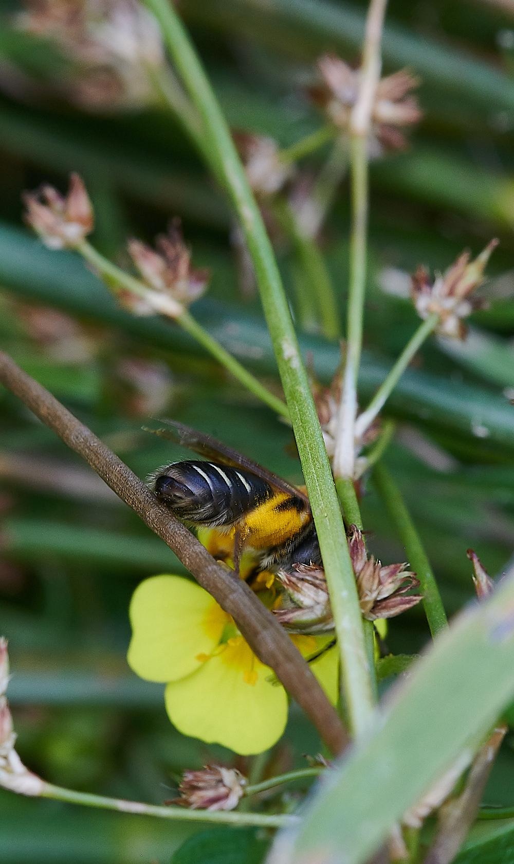 HoughenPlantationTMB150821-17