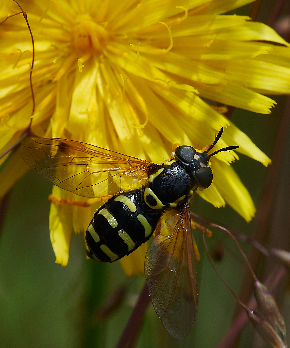 KellingHeathSercomma020721-2