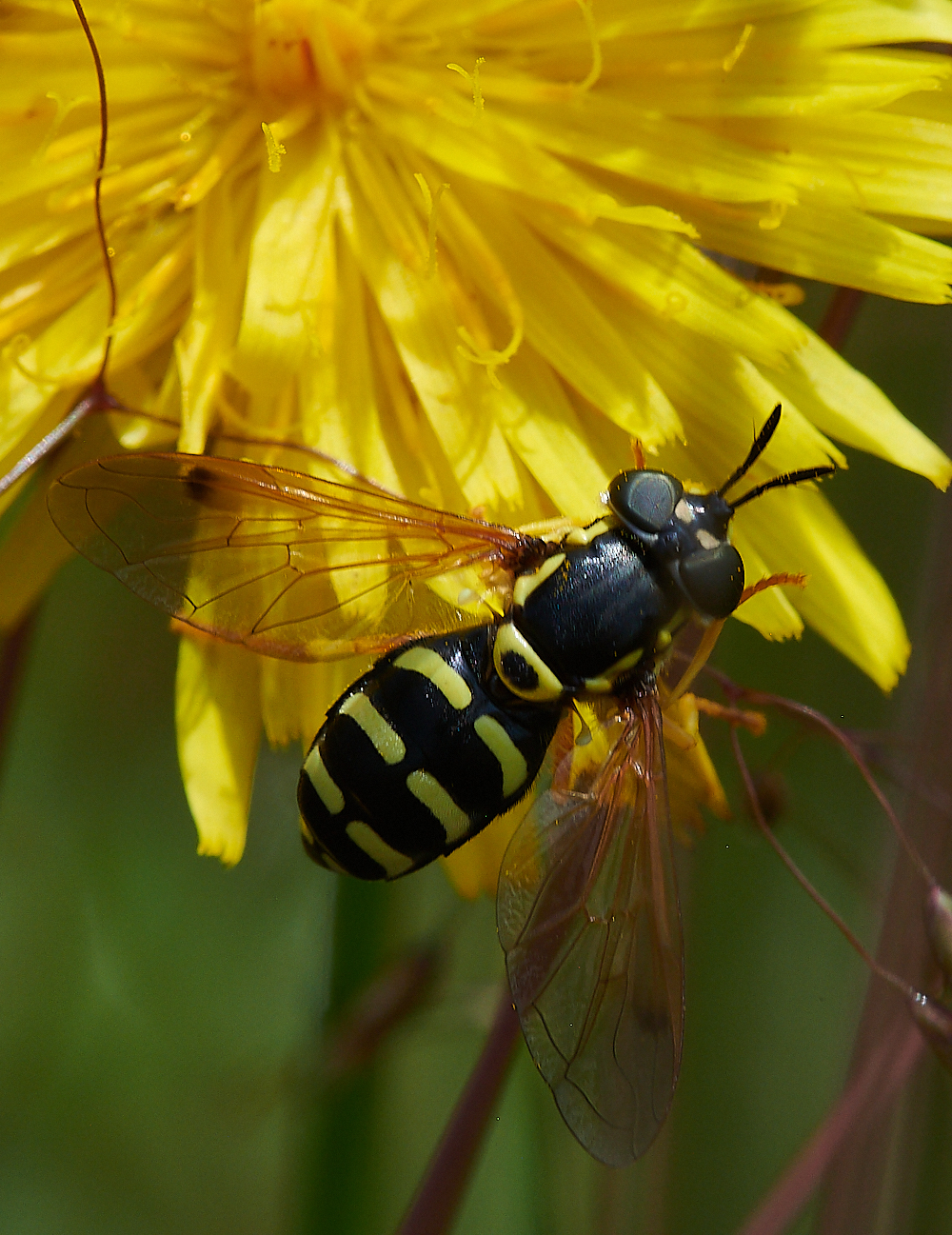 KellingHeathSercomma020721-3