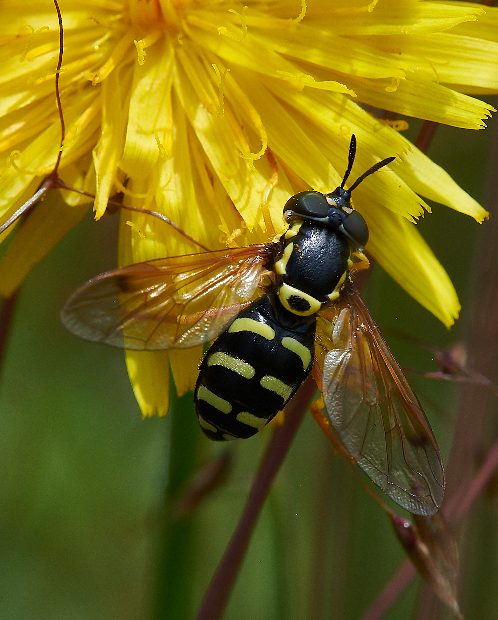 KellingHeathSercomma020721-4