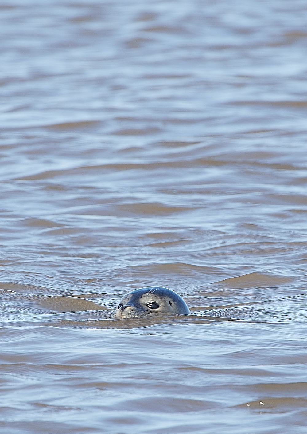 Snettisham120821-13