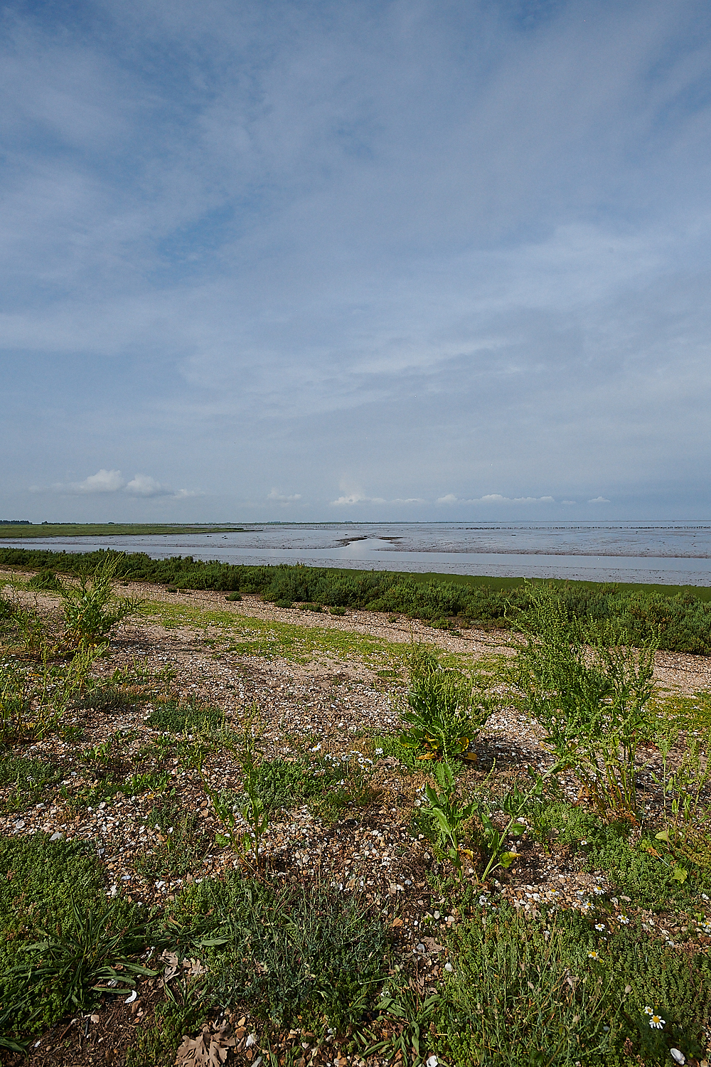 Snettisham270721-10