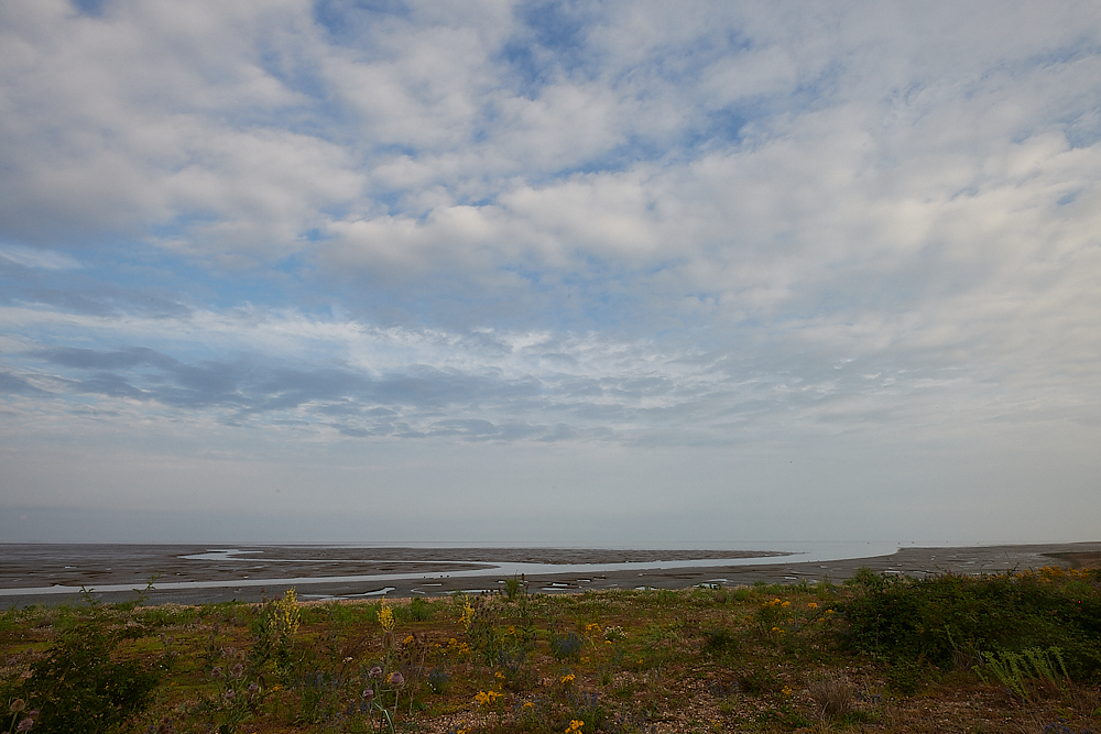 Snettisham270721-2