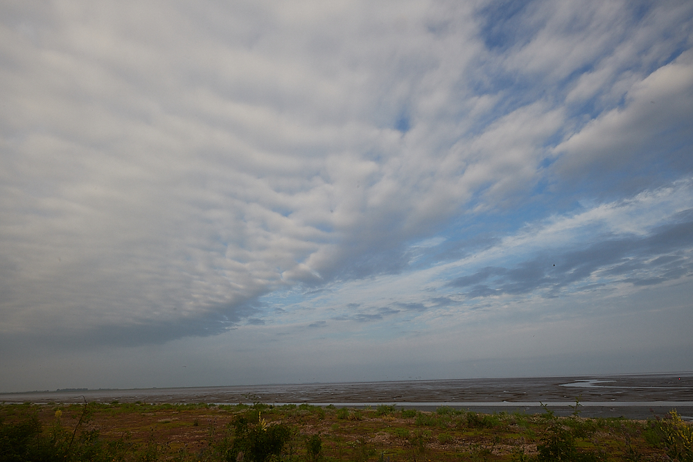 Snettisham270721-3