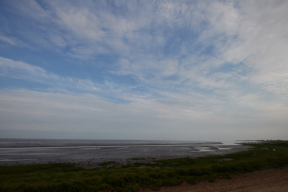 Snettisham270721-4