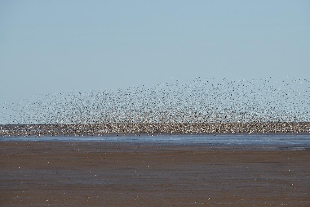 SnettishamBeach120821-4