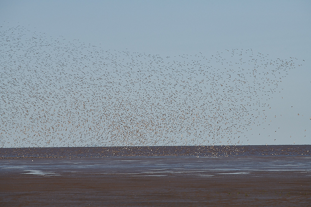 SnettishamBeach120821-6