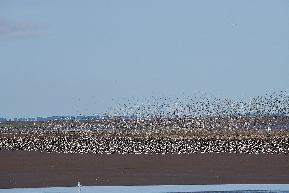 SnettishamBeach120821-7