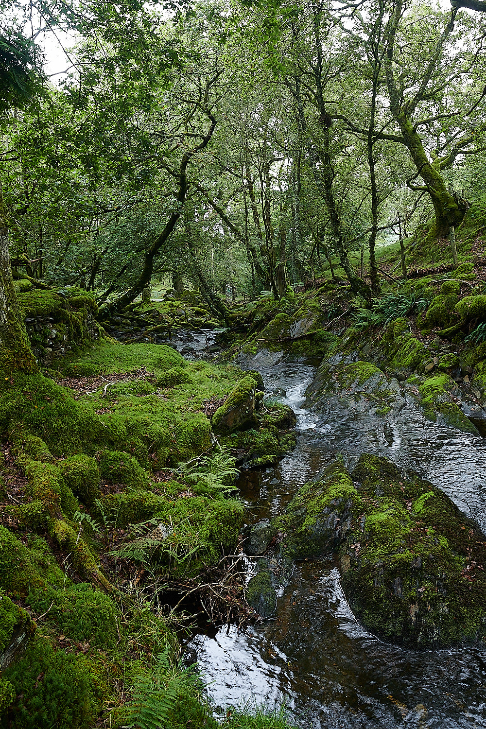 Wales1Landscape120921-3