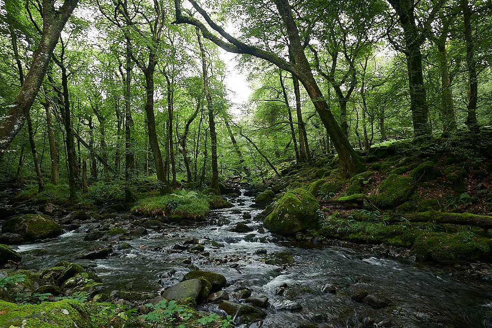 Wales2Landscape130921-1