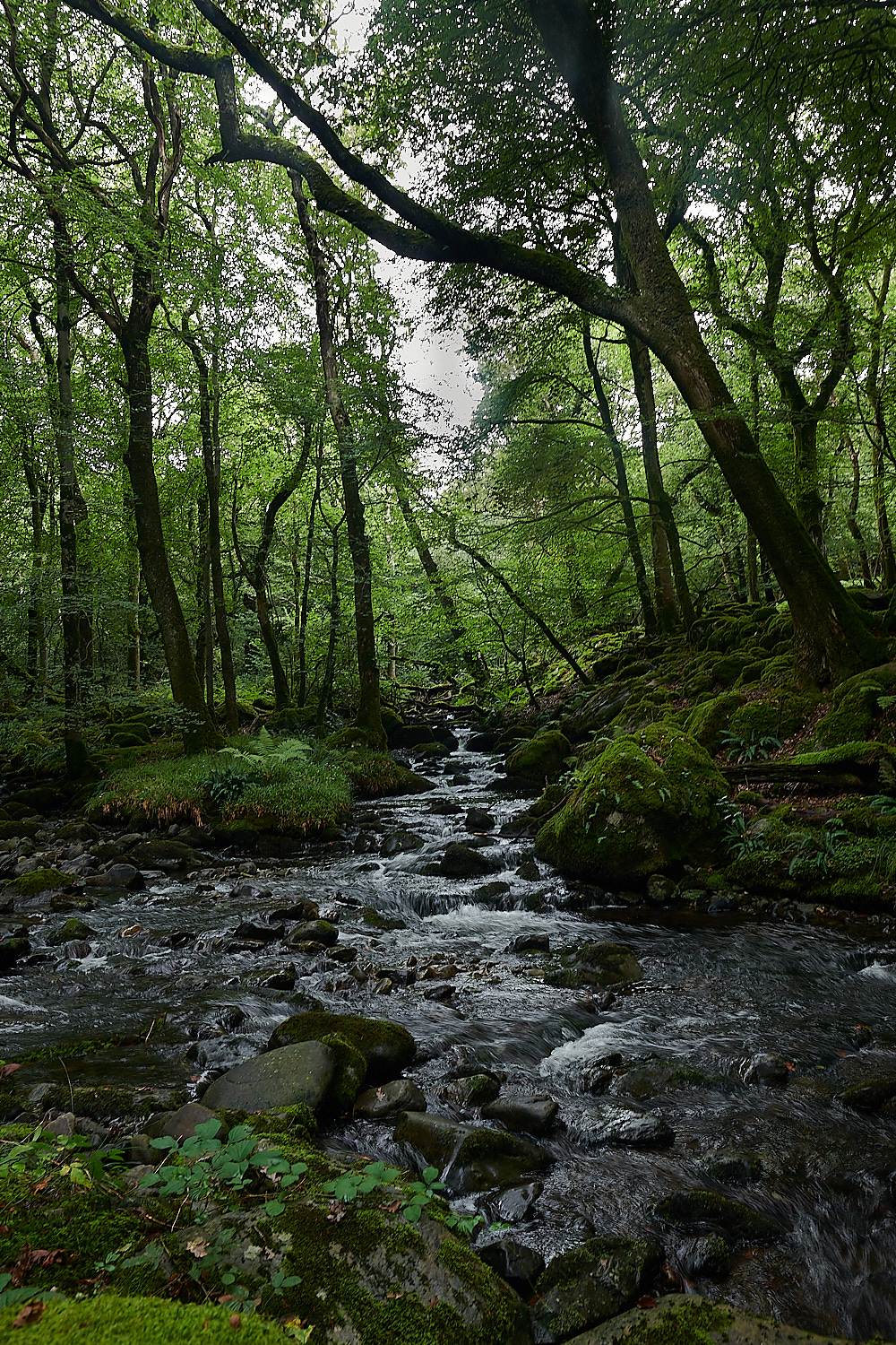 Wales2Landscape130921-2