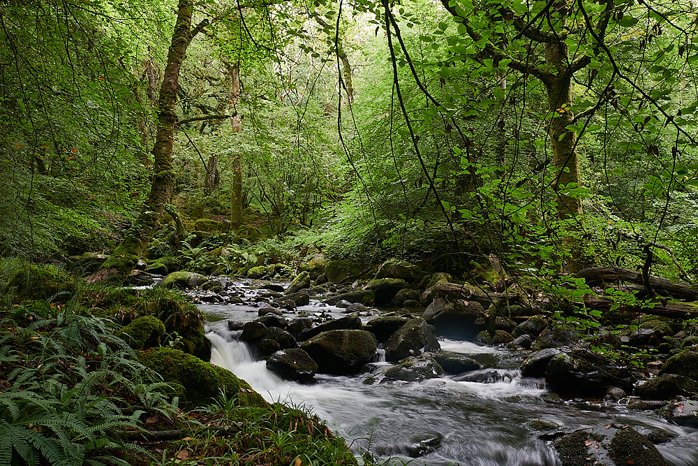 Wales2Landscape130921-3