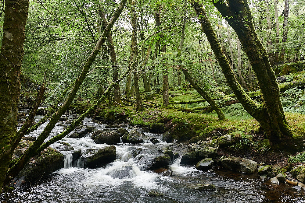 Wales2Landscape130921-4