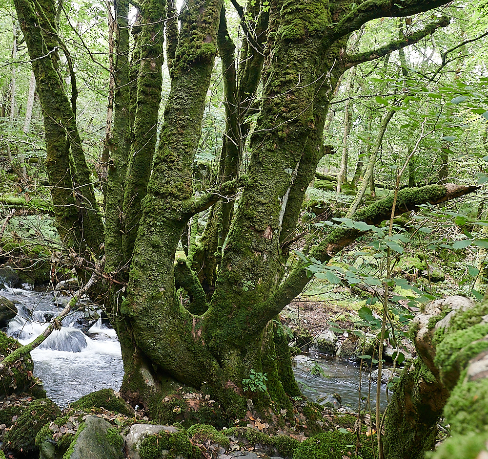 Wales2Landscape130921-5