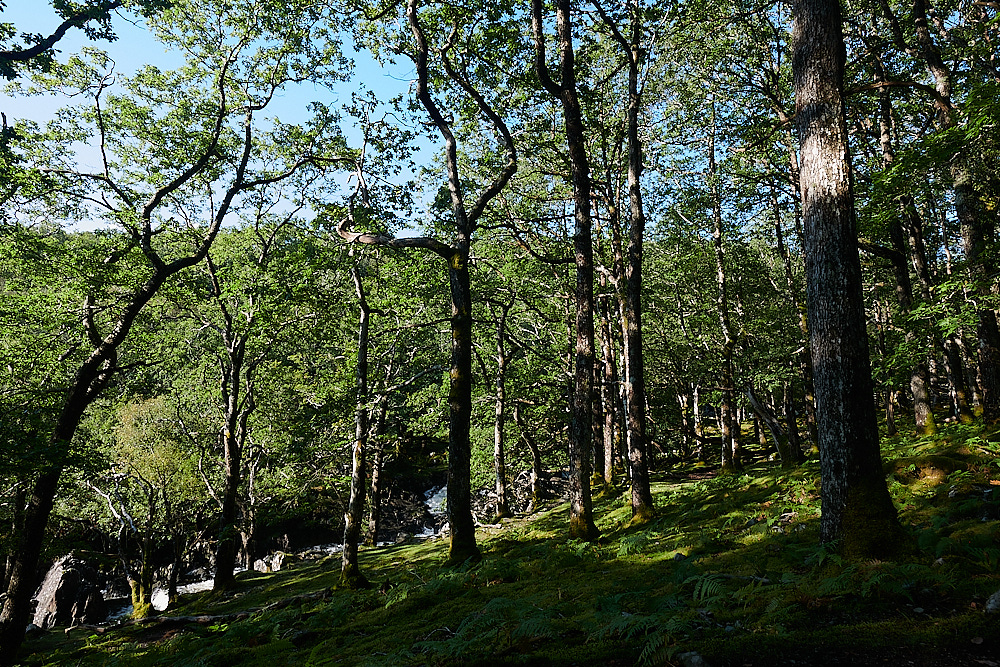 Wales4Landscape140921-1