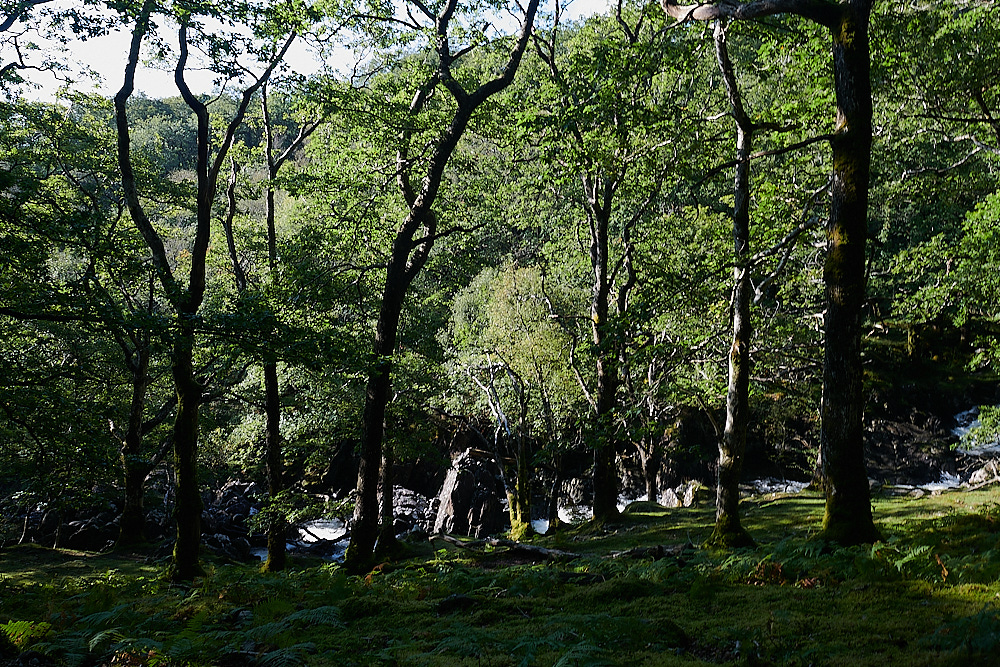 Wales4Landscape140921-2