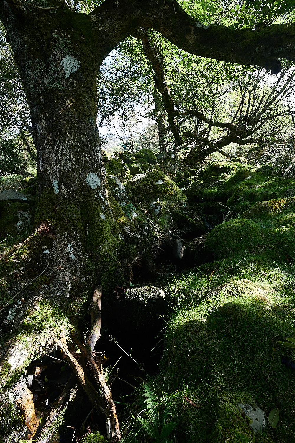 Wales5Stream160921-1