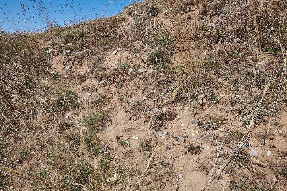 Weybourne010821-2