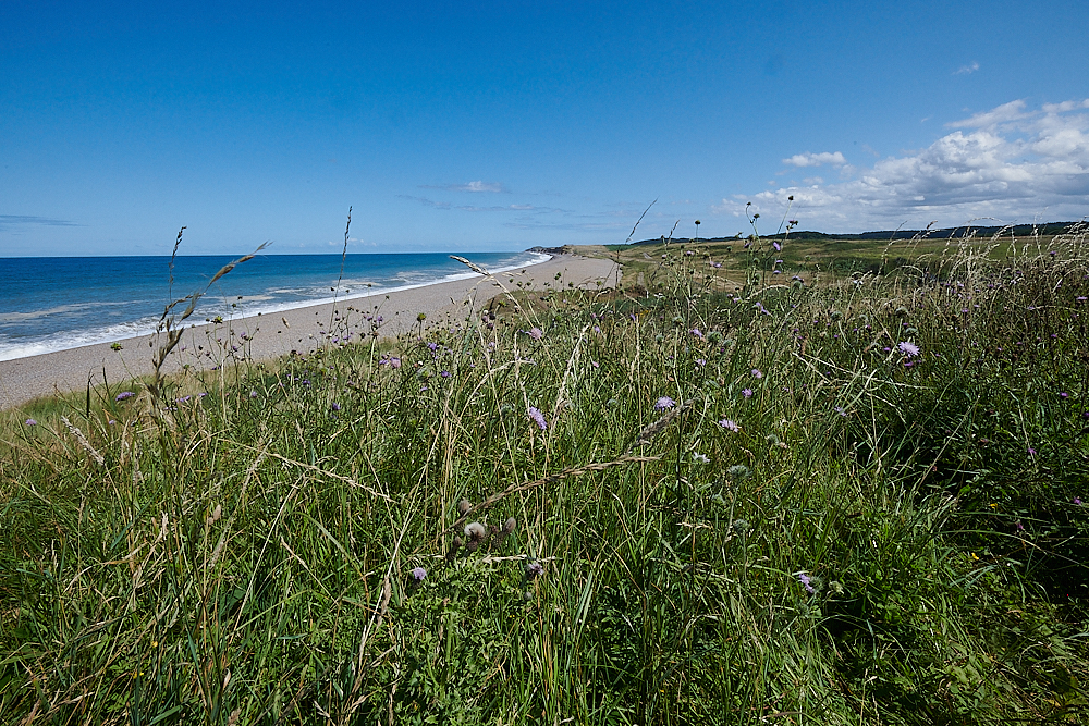 Weybourne010821-4