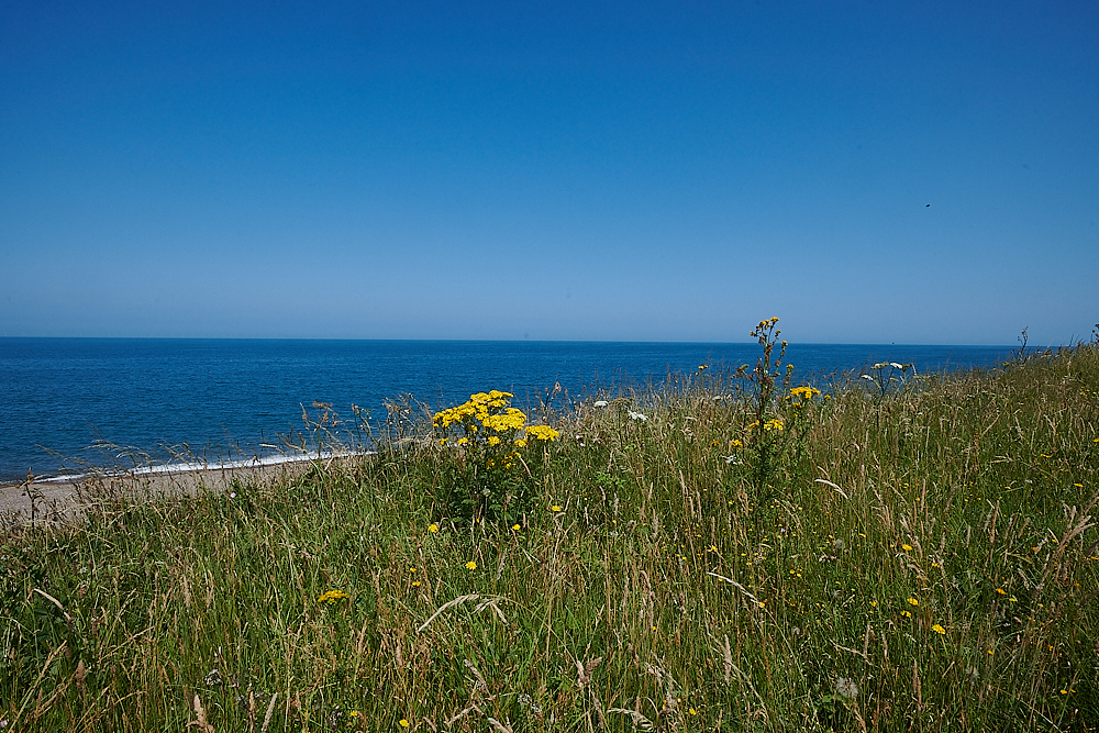 Weybourne210721-3 1