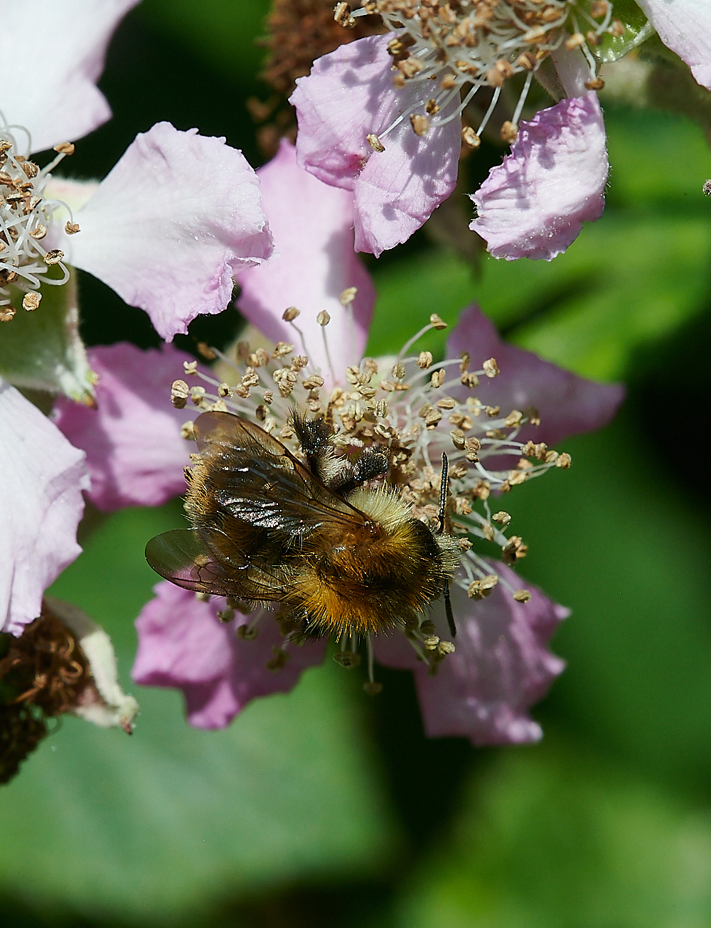 WeybourneCarder210721-1