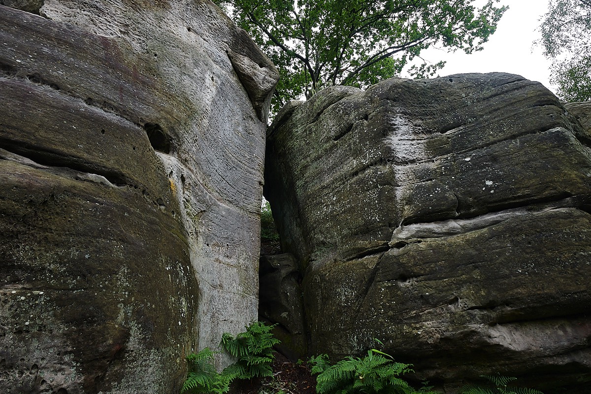 Eridge Rocks - Sussex 06/21
