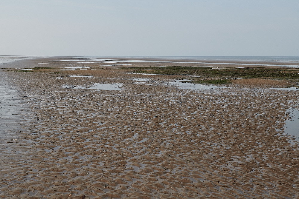 Titchwell091021-1