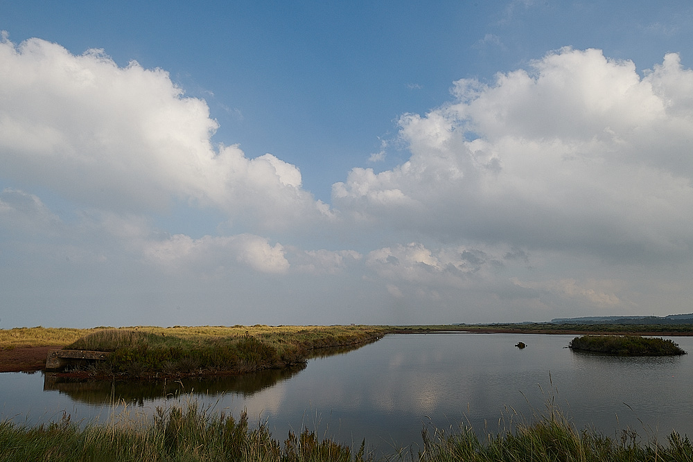 Titchwell091021-4